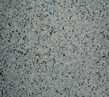 Abrasive Resistant Self - Clean PVC Floor Tiles Used For Clean Room